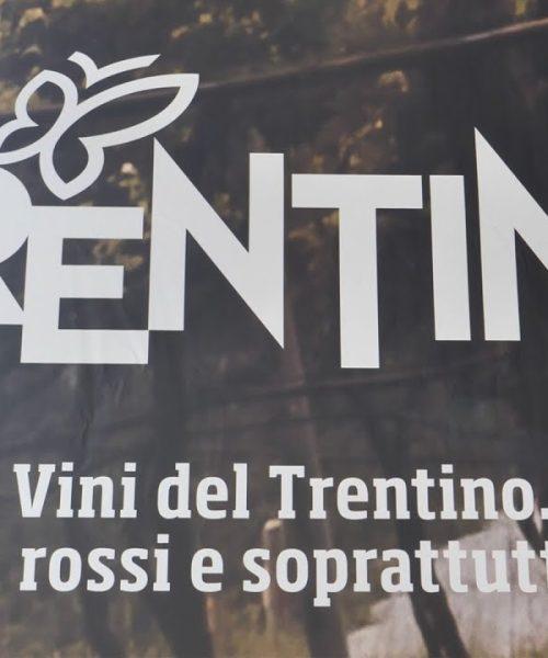 Vinitaly 2022 – Consorzio Vini del Trentino, primo bilancio di sostenibilità