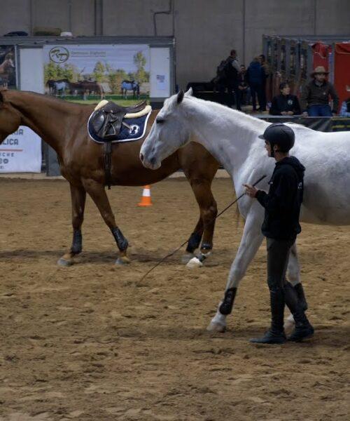 Horse Friendly Arena, la relazione uomo-cavallo al centro